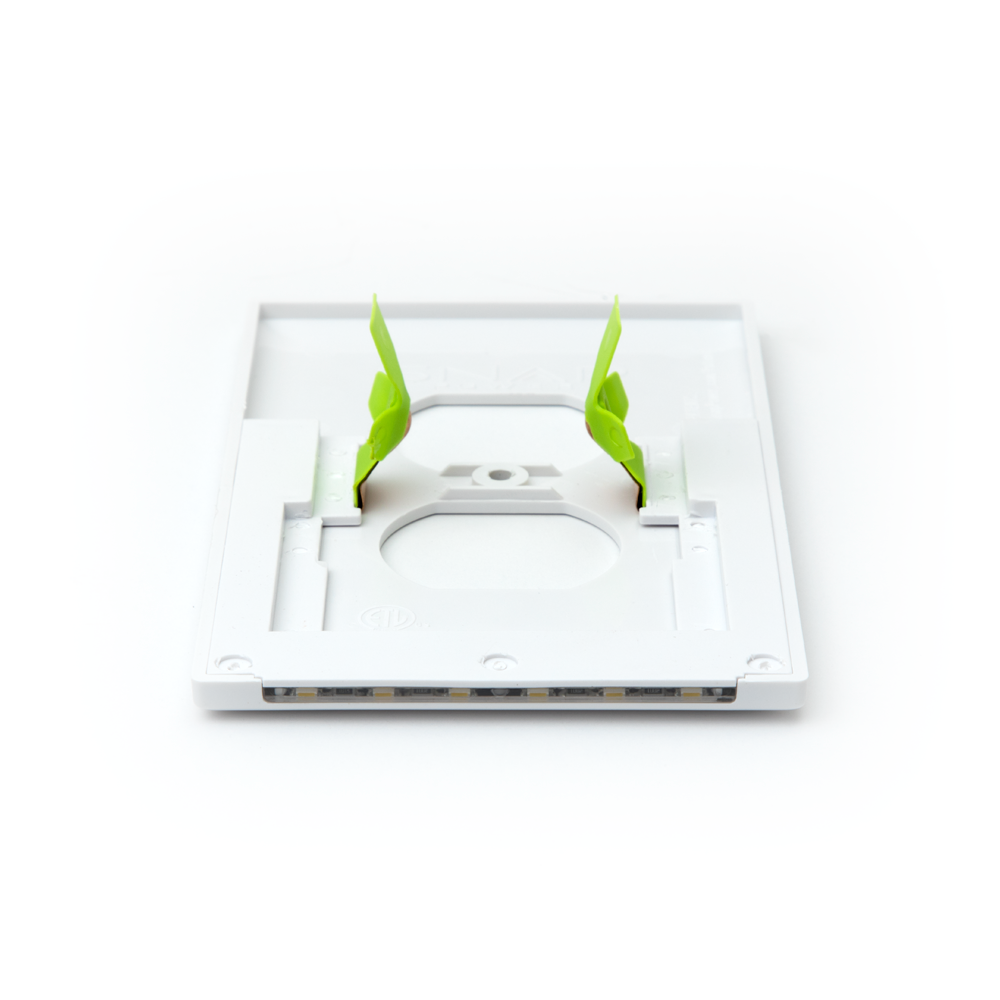 Spring-loaded prongs on the back of the plate