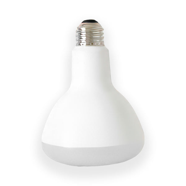 LumiDock Chip Bulb